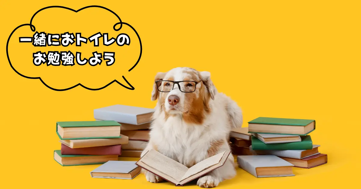 犬がトイレの場所を覚えるトレーニングのイメージ写真