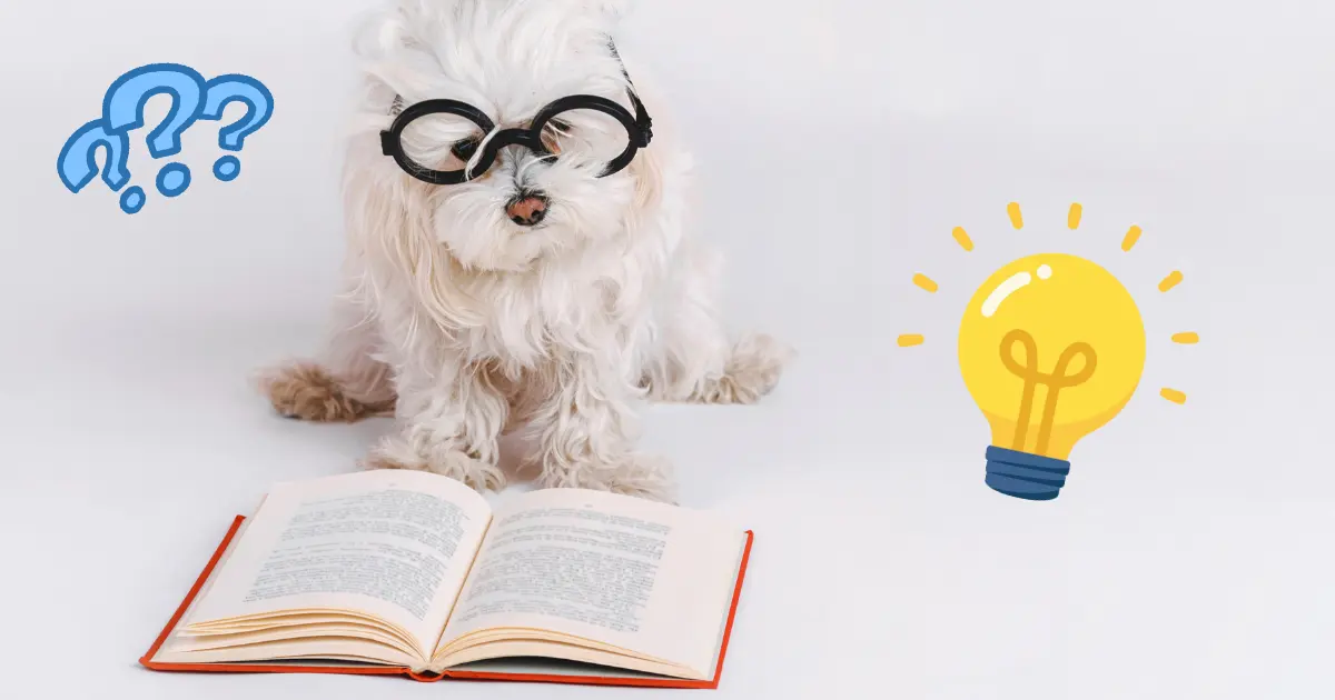 子犬が眼鏡をかけてQ＆Aのイメージの写真