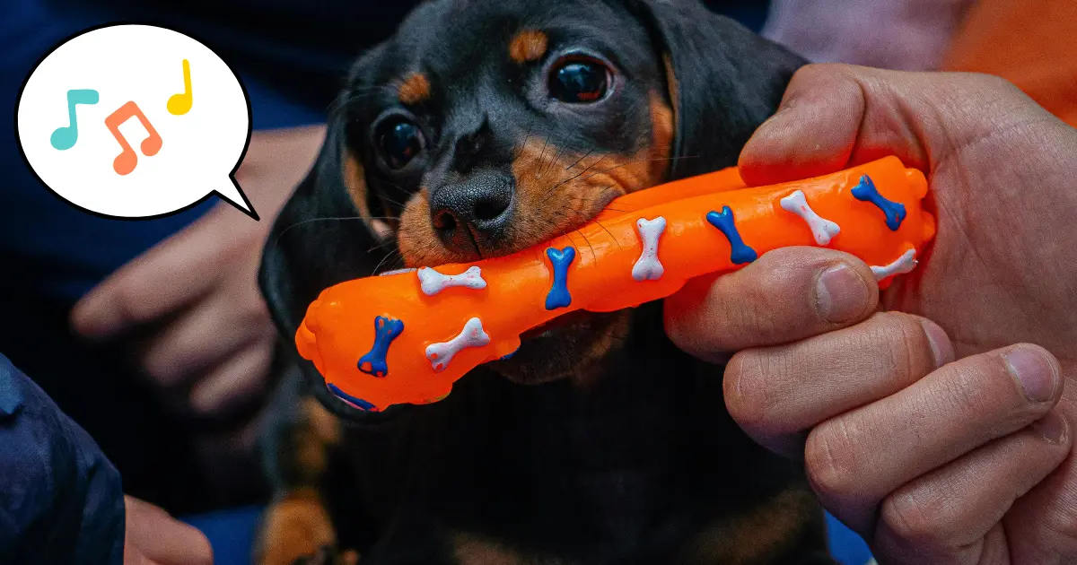 甘噛み対策でおもちゃに誘導している場面