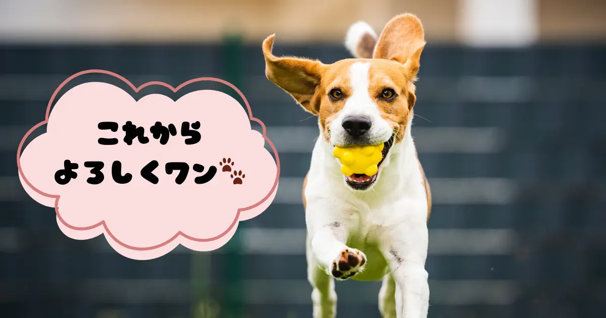 犬との暮らしが始まる喜びを表したイメージ写真