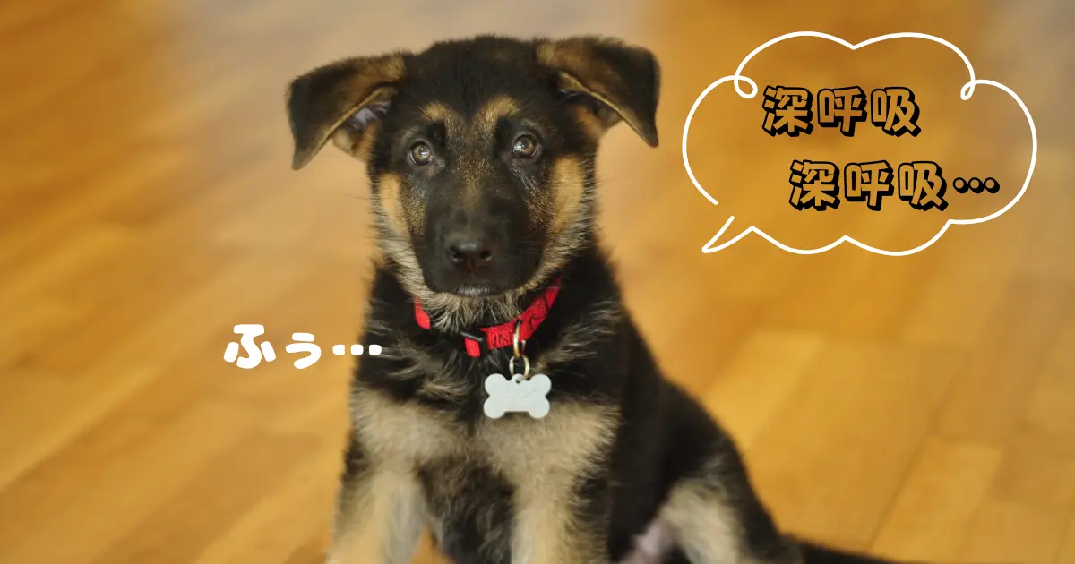子犬が深呼吸して落ち着いている写真